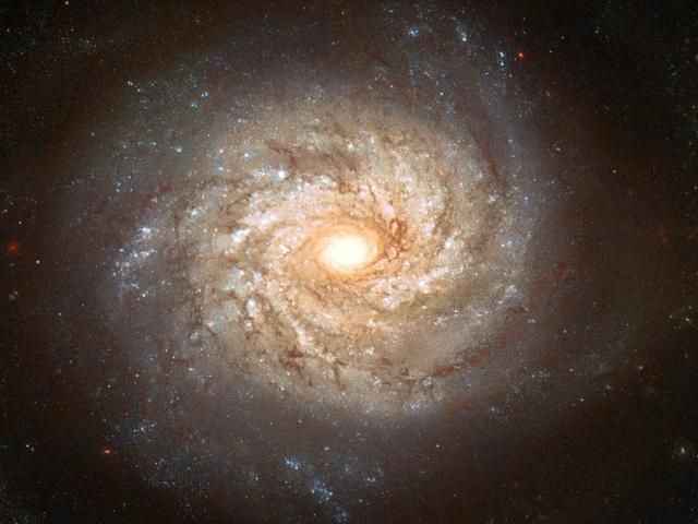 Spiral Galaxy NGC 3982 Before Supernova