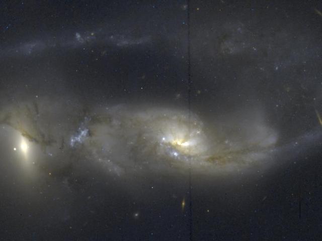 Arp 81: 100 Million Years Later