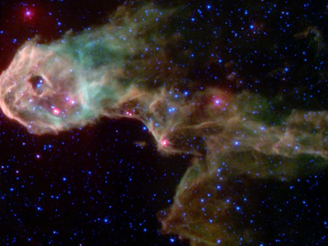 Inside The Elephant’s Trunk