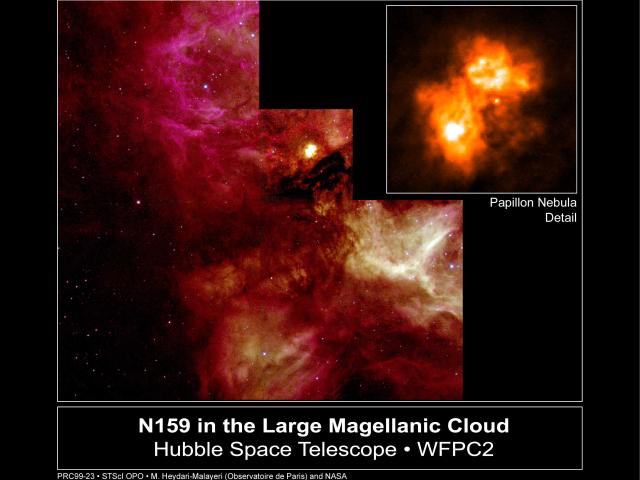 N159 and the Papillon Nebula
