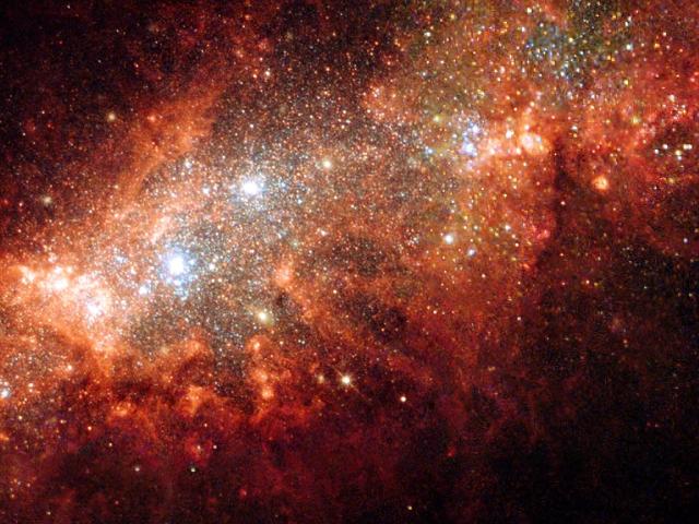 NGC 1569: Starburst in a Small Galaxy