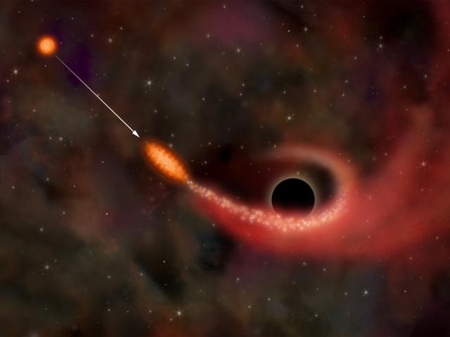 X-Rays Indicate Star Ripped Up by Black Hole