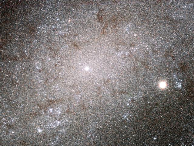 The Stars of NGC 300