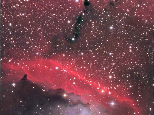 In the Center of NGC 6559