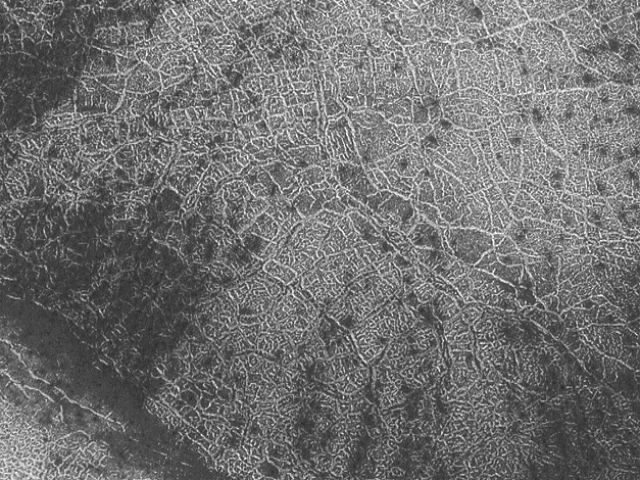 Polar Polygons on Mars