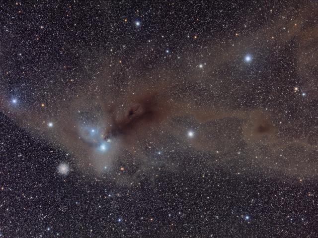 Stars and Dust in Corona Australis