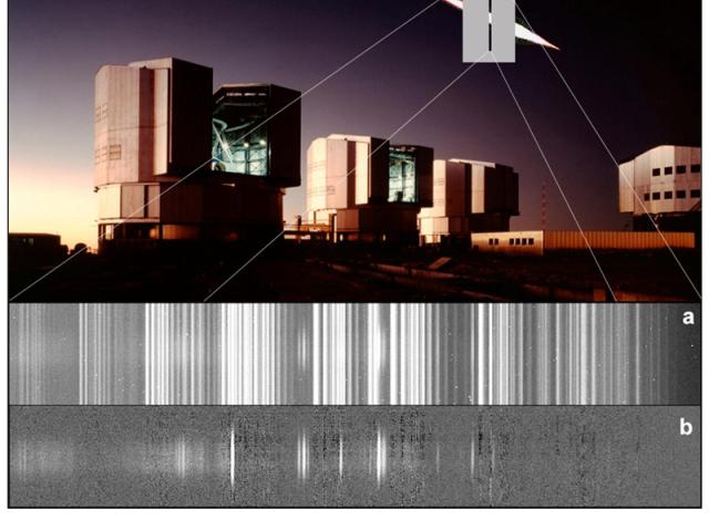 The Spectrum of A Meteor