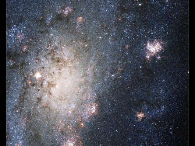 A Supernova in Nearby Galaxy NGC 2403