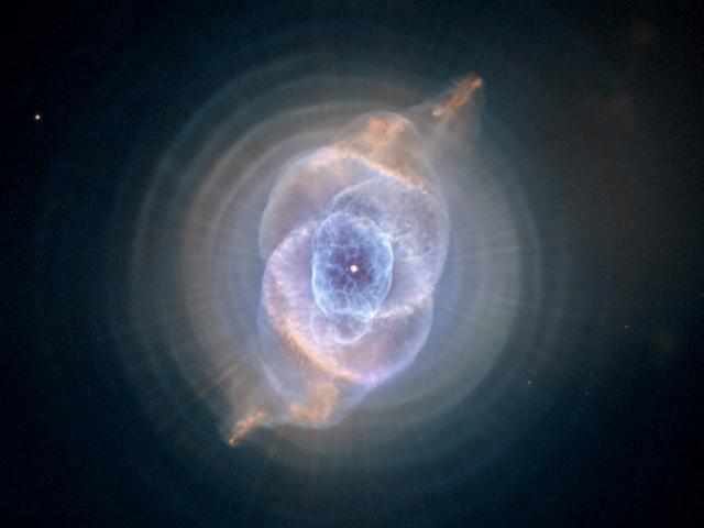 Cat’s Eye