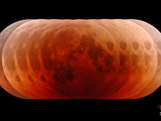 Pumpkin Moon