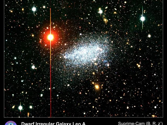Leo A: Nearby Dwarf Irregular Galaxy