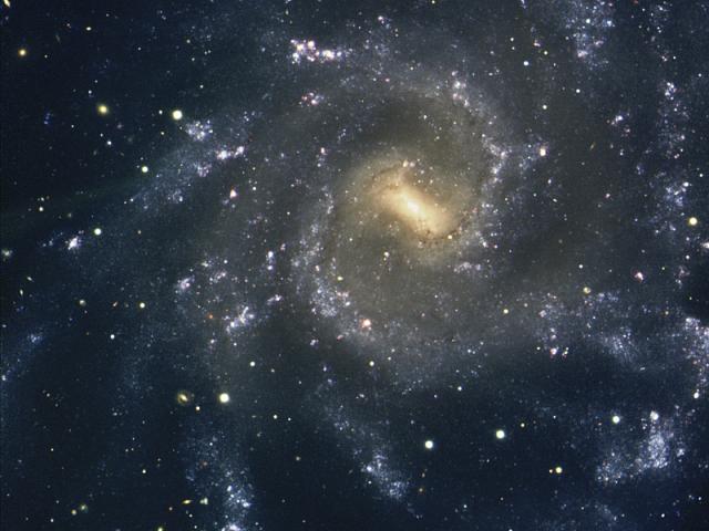 The Arms of NGC 7424