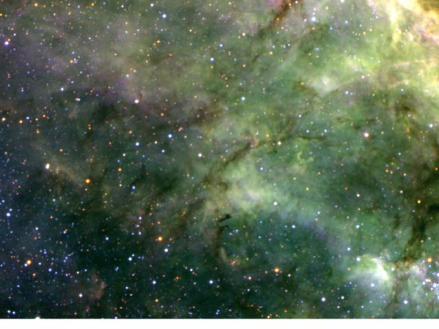 Tentacles of the Tarantula Nebula