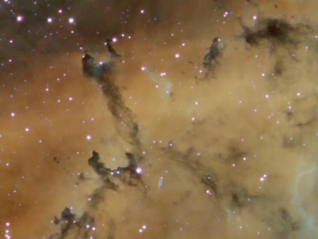 Dust Sculptures in the Rosette Nebula