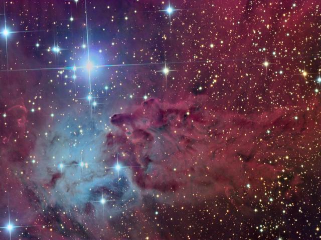 The Fox Fur Nebula