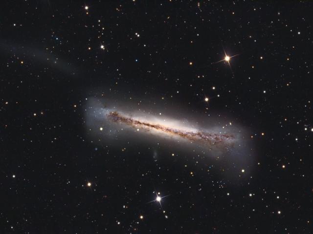 Sideways Galaxy NGC 3628