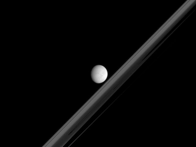Saturnian Moon and Rings