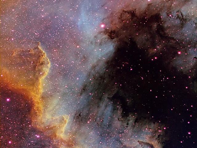 The Cygnus Wall of Star Formation