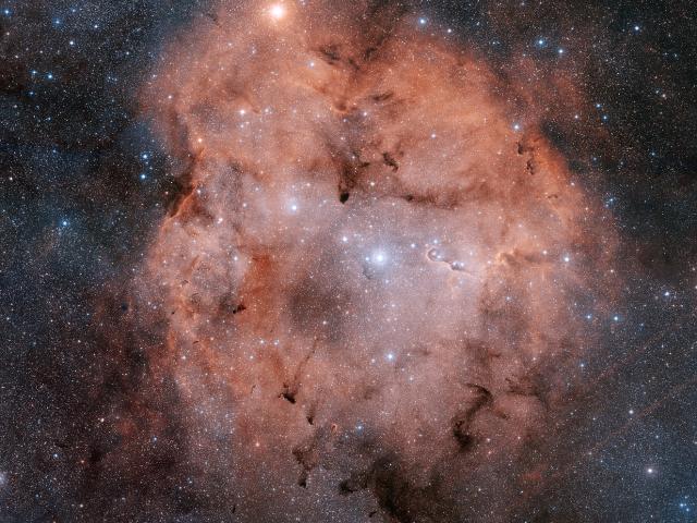 IC 1396 in Cepheus