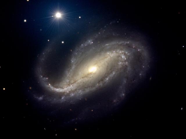 NGC 613: Spiral of Dust and Stars