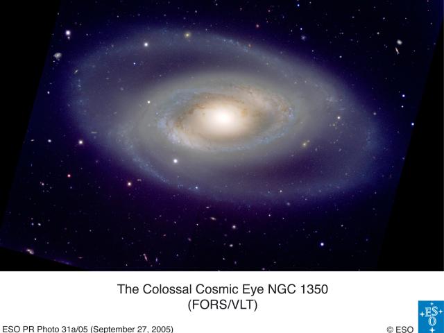 Spiral Galaxy NGC 1350