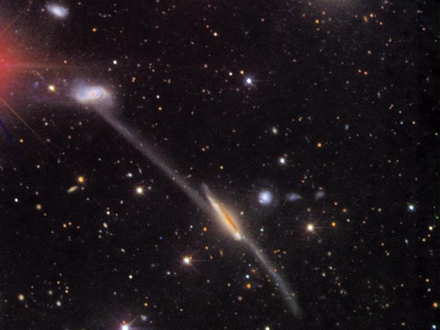 Peculiar Arp 295