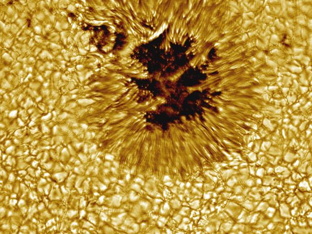 A Sunspot Up Close