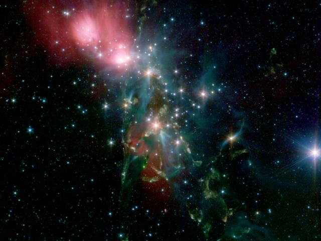 Dusty NGC 1333