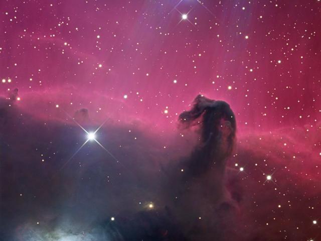 Reflections on the Horsehead Nebula