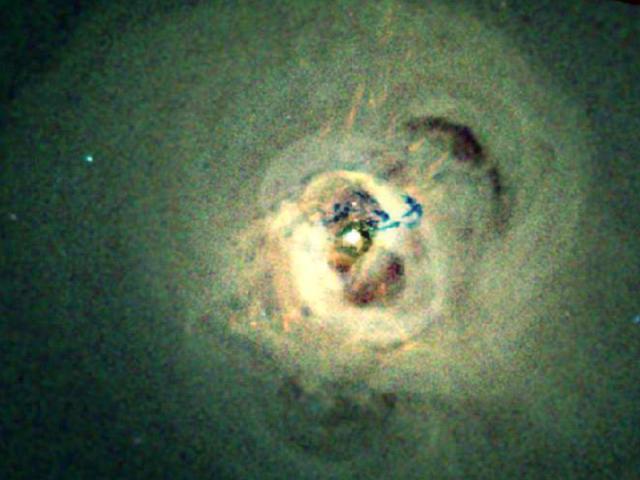 X-Rays from the Perseus Cluster Core