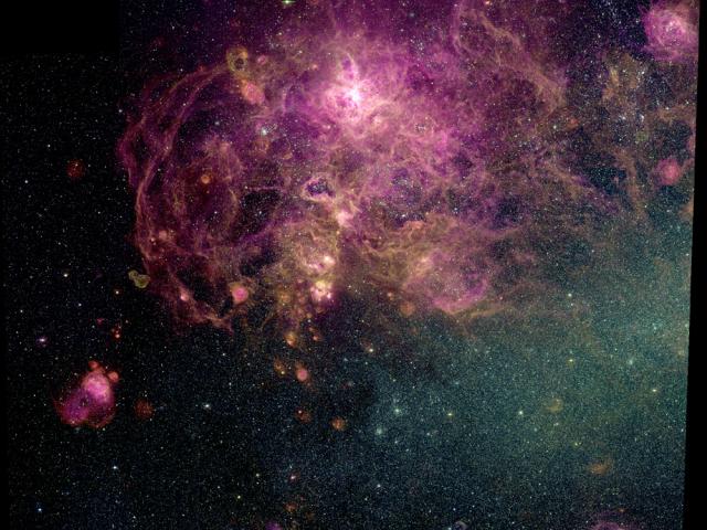 30 Doradus: The Tarantula Zone