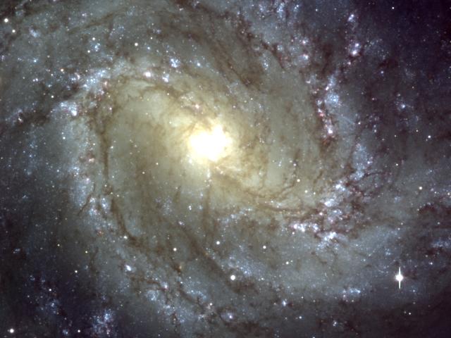 M83: The Southern Pinwheel Galaxy from VLT