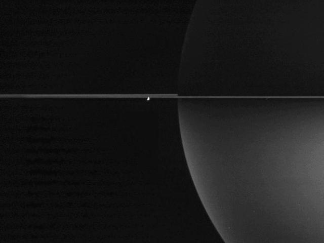 Thin Rings Around Polarized Saturn