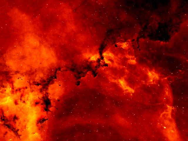 Hydrogen and Dust in the Rosette Nebula