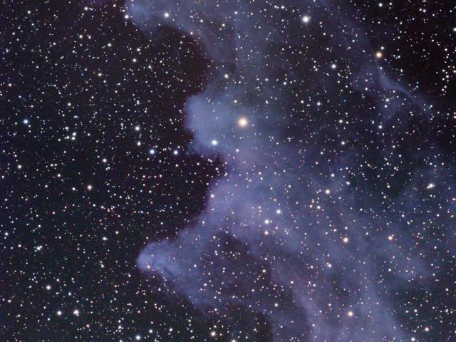 IC 2118: The Witch Head Nebula