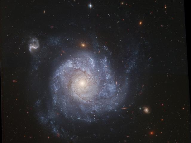 NGC 1309 and Friends