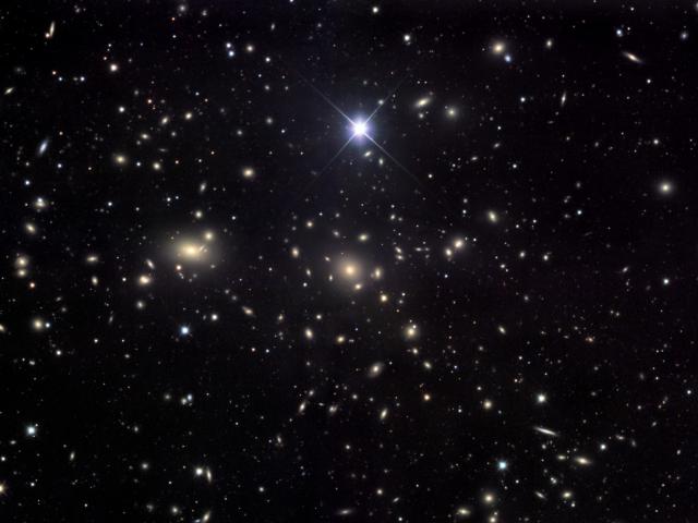 The Coma Cluster of Galaxies