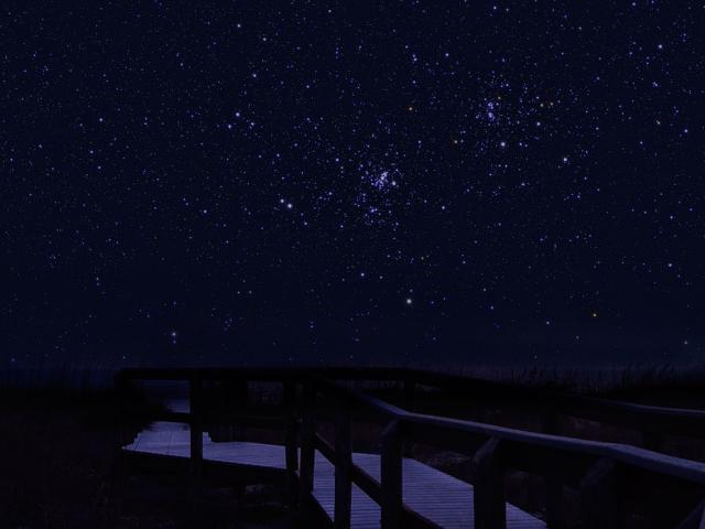 Star Cluster Dreams