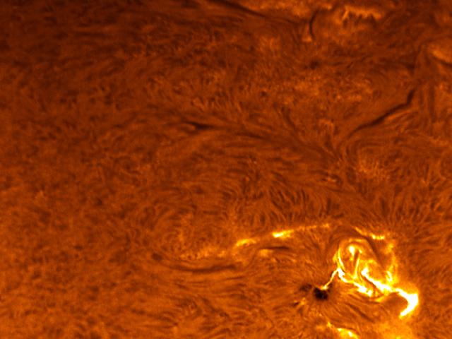 Sunspot 875 Flares