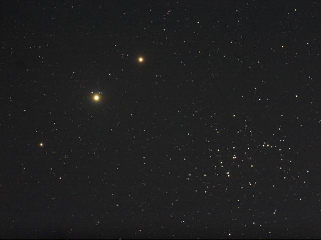 Planets, Bees, and a Donkey