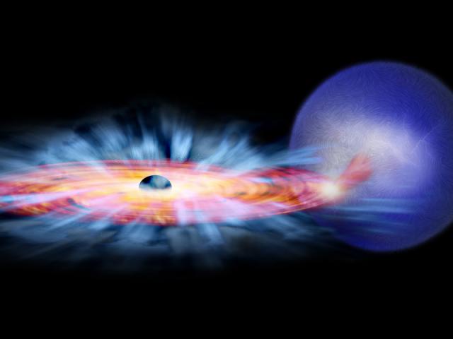 Wind from a Black Hole