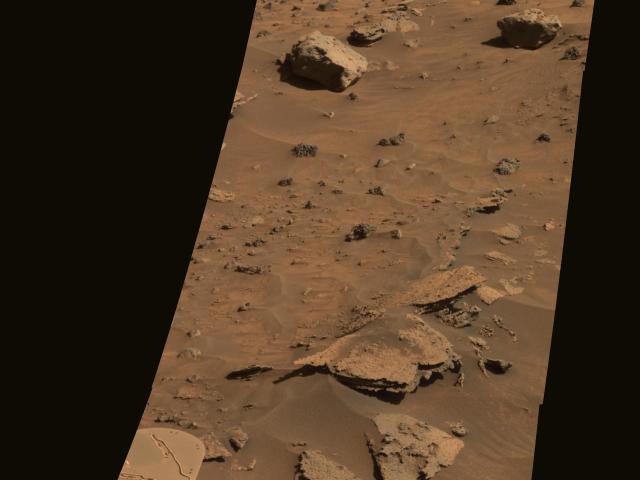 Strangers on Mars