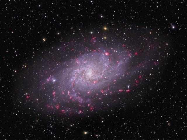 M33: Spiral Galaxy in Triangulum