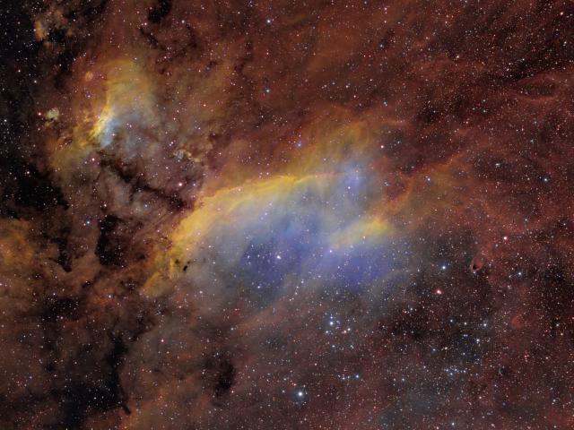 IC 4628: The Prawn Nebula