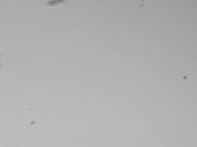 Help Search for Interstellar Dust