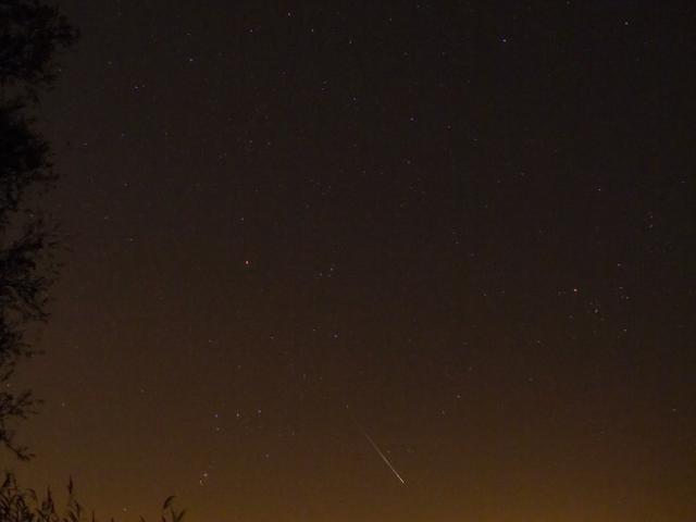 A Leonid Meteor Over Sweden