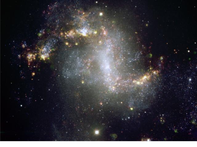 Unusual Starburst Galaxy NGC 1313