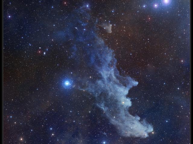 IC 2118: The Witch Head Nebula