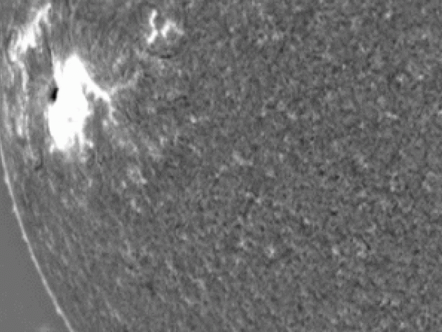 A Large Tsunami Shock Wave on the Sun