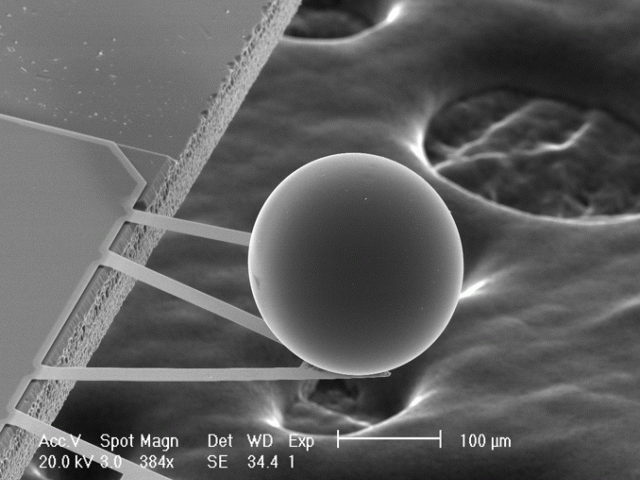 A Force from Empty Space: The Casimir Effect